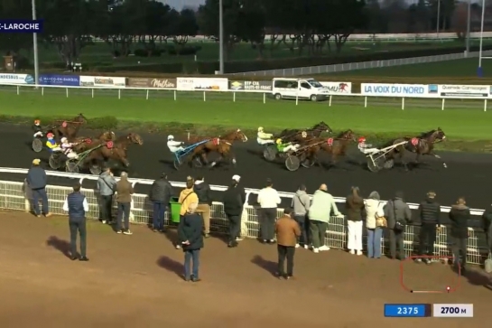 KALMIO DE LOU ( Express jet _Dalmia de lou par Real de Lou)...