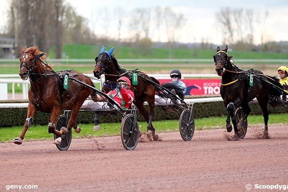 MAXIMILIANO DE LOU (Ecu pierji-Daytona Sacha par Real de Lou)...