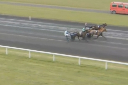 IBRA DE LOU (Un Amour d'haufor-Venezia de Lou par...