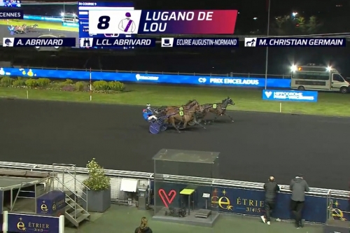 LUGANO DE LOU (Up and quick et Kooka de Lou par Coktail...