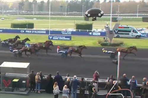 LAUREATE DRY (Real de Lou-Anita dry par Nice love)...