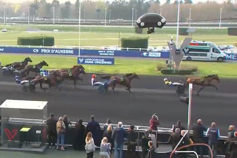 LAUREATE DRY (Real de Lou-Anita dry par Nice love)...