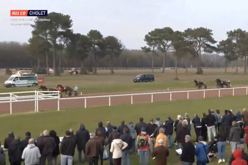 JAMAICA DE LOU ( Real de Lou-Unora de lou par Goetmals...