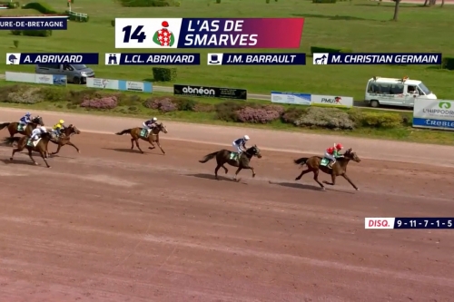 L'AS DE SMARVES (Excellent -Fiorentina de lou par Love...