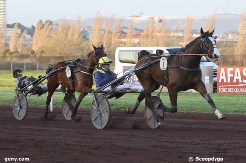 JUNON DE LOU ( Real de lou-Saba du vivierpar Ganymede)