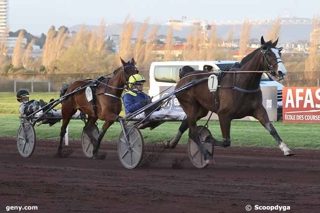JUNON DE LOU ( Real de lou-Saba du vivierpar Ganymede)