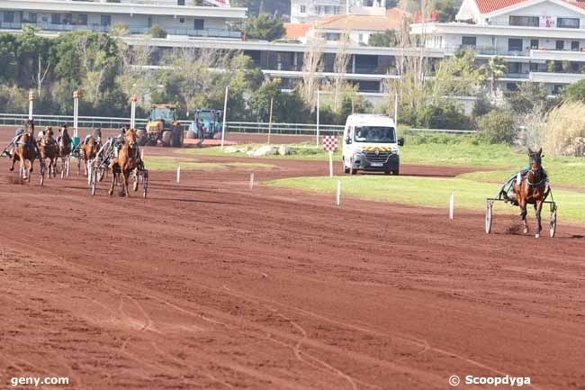 MANDARINA DE LOU (Love you-Saba du vivier par Ganymede)...