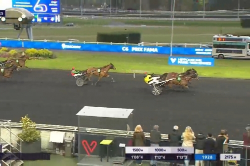 .NALA DE SMARVES (Bilibili-Fiorentina de lou par Love you).