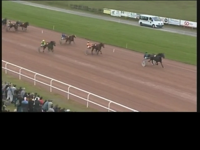 ELEGANT DE TESS (Real de Lou-Riva de Lou)