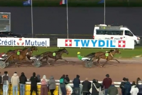 .REAL DE LOU (Jag de bellouet-Kooka de lou par Coktail...