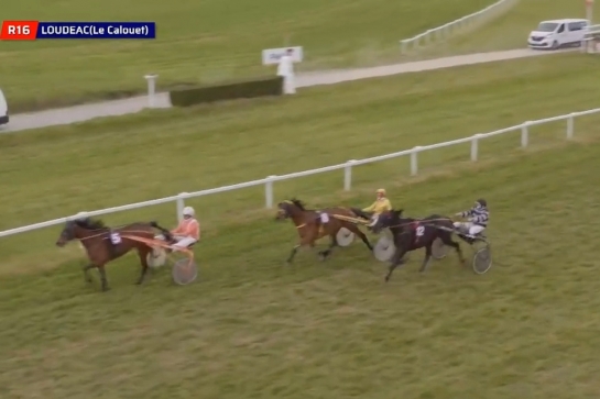 ..MUST DE LOU (Fabulous wood-Daida de vandel par Real de lou).