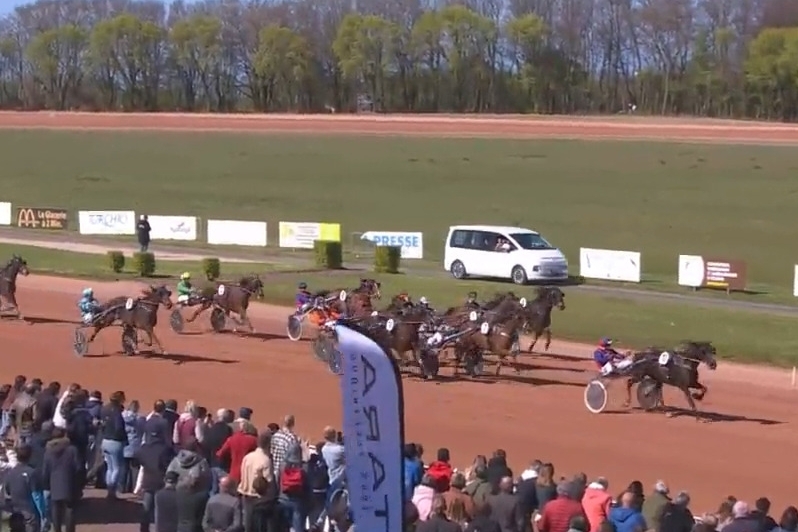 JUNON DE LOU (Real de lou- Saba du vivier Par Ganymède)...