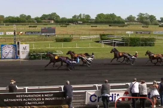 LARABELLO DE LOU (Real de Lou-Arabella de Lou par Coktail jet) ...