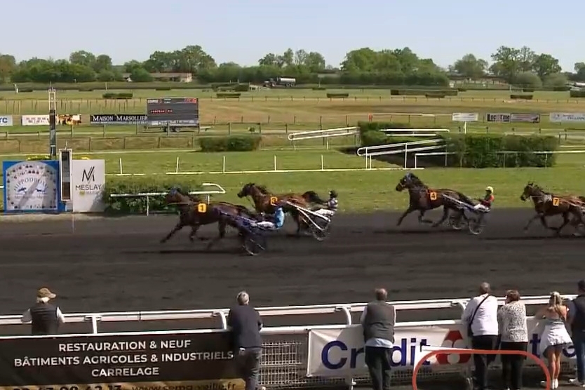 LARABELLO DE LOU (Real de Lou-Arabella de Lou par Coktail jet) ...