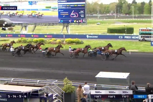 L'AS DE SMARVES (Excellent-Fiorentina de lou par love...