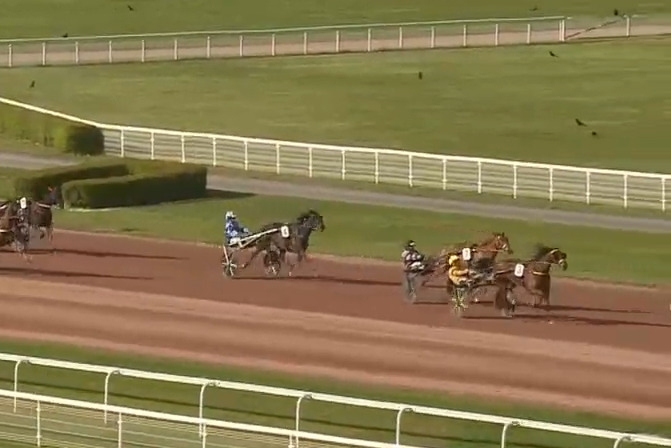 MANDARINA DE LOU (Love you-Saba du vivier par Ganymede)...