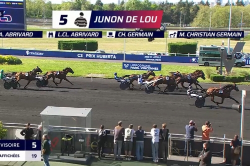 JUNON DE LOU (Real de lou-Saba du vivier par Ganymede)...