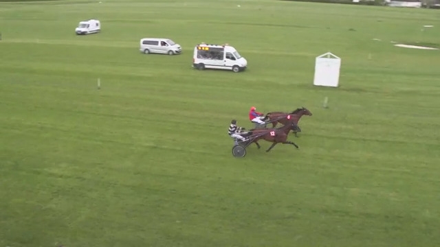 FIRST D’ANY (Real de Lou- L’étoile des bois)