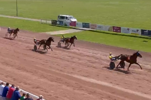 LUNDU DE LOU (Real de Lou-Ukraine du vivier par Nice love)..