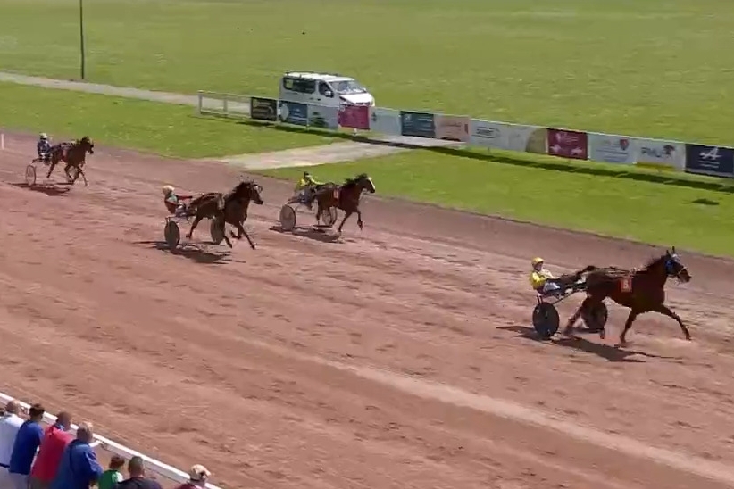 LUNDU DE LOU (Real de Lou-Ukraine du vivier par Nice love)..