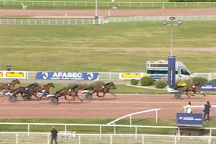 LAUREATE DRY (Real de Lou-Anita dry par Nice love)...