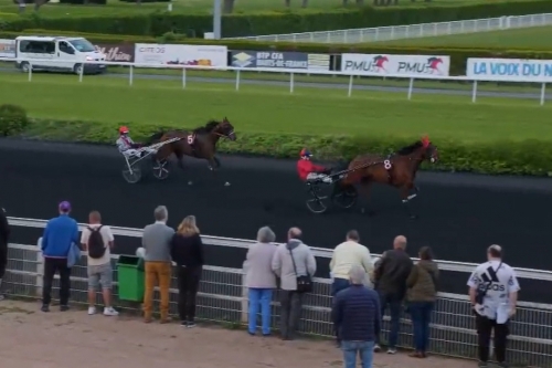 KALMIO DE LOU ( Expres jet-Dalmia de lou par Real de lou)...