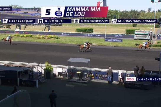 MAMMA MIA DE LOU (Express jet-Dalmia de lou par Real de lou)...