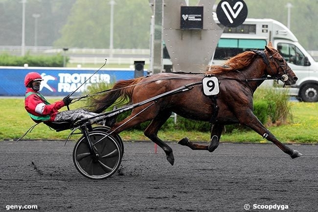 MAXIMILIANO DE LOU ( Ecu pierji-Daytona sacha par Real de Lou)...