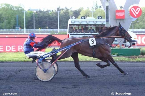 FILOU L’AUVERGNIER (Real de Lou-Quira l’auvergnier)