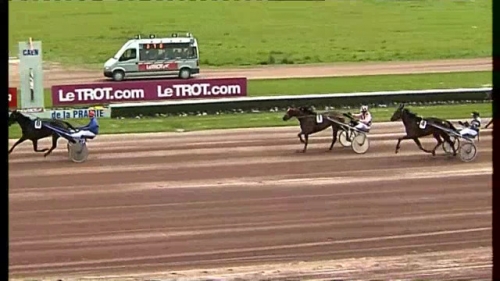 GISELA DE LOU (Goetmals wood-Selecao de Lou)