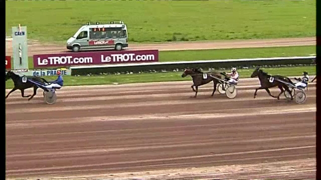 GISELA DE LOU (Goetmals wood-Selecao de Lou)