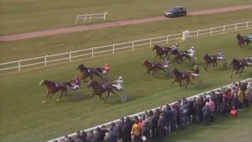 FLAMENGO DE LOU (Ganymède-Tania de Lou)