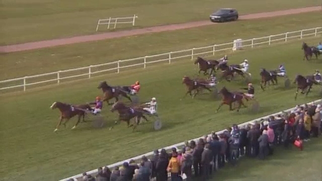 FLAMENGO DE LOU (Ganymède-Tania de Lou)