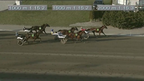 MELLBY CLUB (Muscle hill-Naomi de Lou)