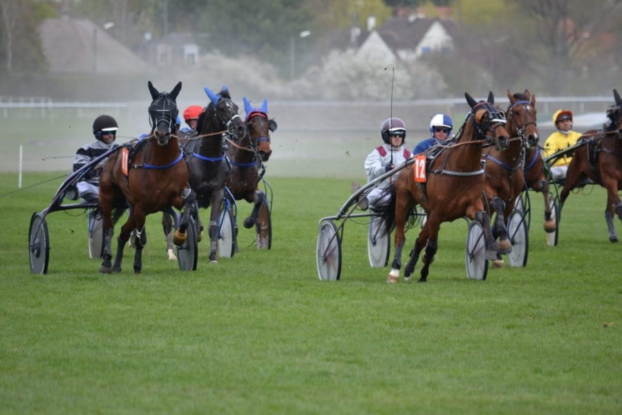 FIRST D’ANY (Real de Lou-L’étoile des bois)