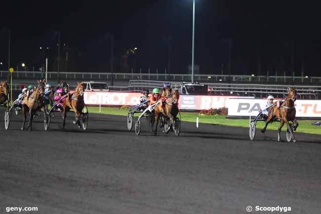 FALCO SACHA (Real de lou-Nostalgique Sacha)