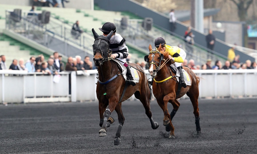 DAIDA DE VANDEL (Real de Lou-Gallia de Vandel)