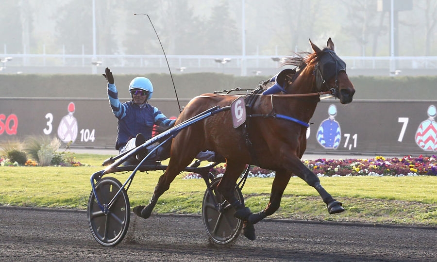 EXCELLENT (Real de Lou-Udine d’Odyssée)