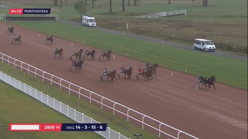 ELEGANT DE TESS (Real de Lou-Riva de lou)