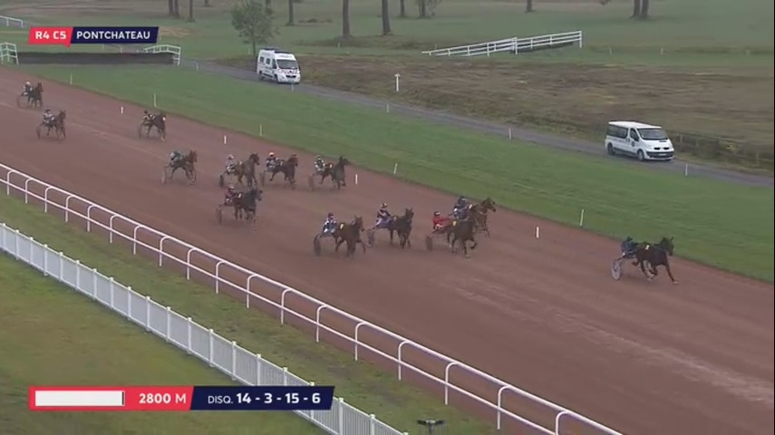 ELEGANT DE TESS (Real de Lou-Riva de lou)