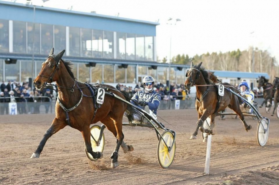 MELLBY CLUB (Muscle Hill-Naomi de lou)