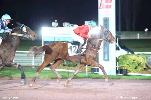 FASTER SYGA (Real de Lou- Sublime des obeaux)