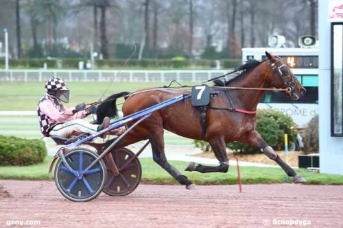 DJANGO DES CHARMES (Real de Lou-Toccata des charmes)