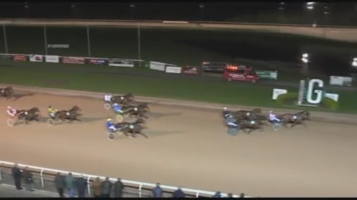 FIRST D’ANY(Real de Lou-l’étoile des bois)