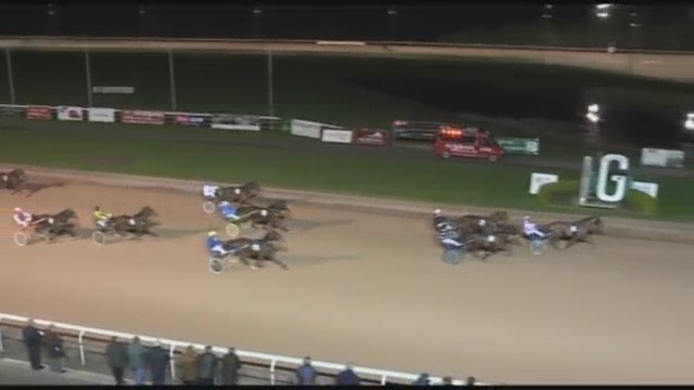 FIRST D’ANY(Real de Lou-l’étoile des bois)