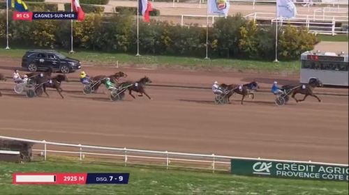 DJANGO DU BOCAGE (Real de Lou- Plume bleue)