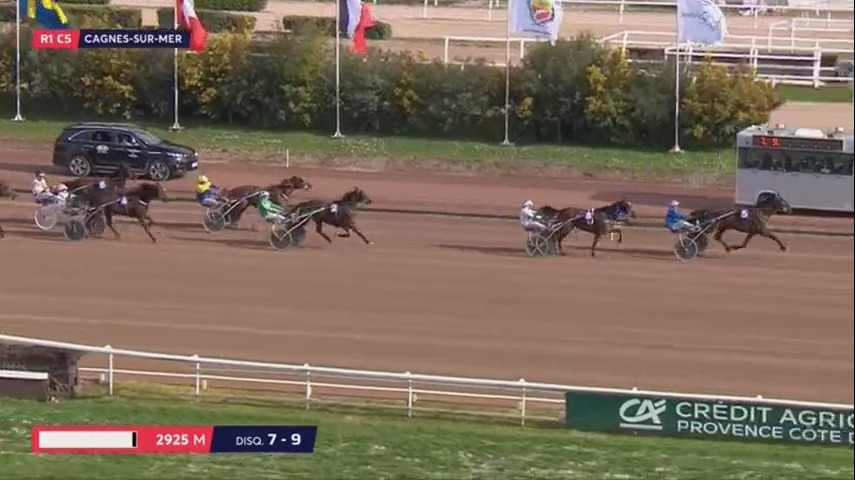 DJANGO DU BOCAGE (Real de Lou- Plume bleue)