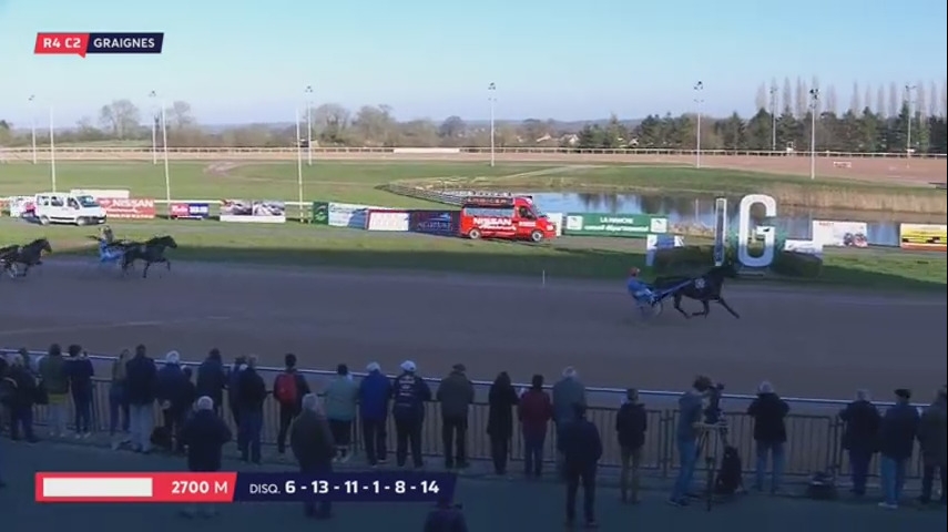 DOLLAR DU CHATELET (Real de Lou-Naomi du chatelet)