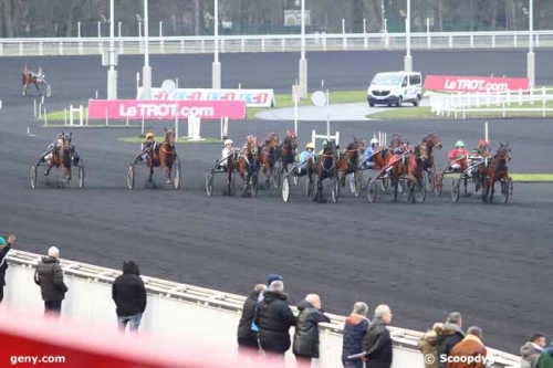 GISELA DE LOU (Goetmals wood-Selecao de Lou)