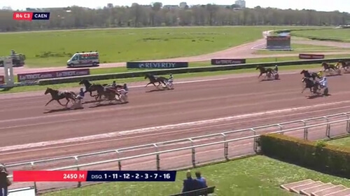 HENRIQUE DE LOU (Real de Lou-Star de Tembia)